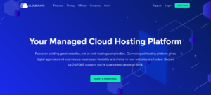 cloudways hositing review